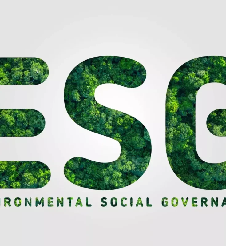 ESG in Vietnam: Challenges but Significant Potential